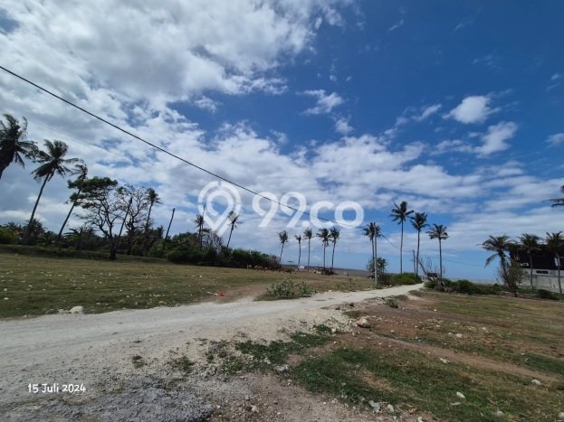 Untuk Dijual Tanah 4800m2 di Saba, Gianyar Untuk Dijual Tanah 4800m2 di Saba, Gianyar