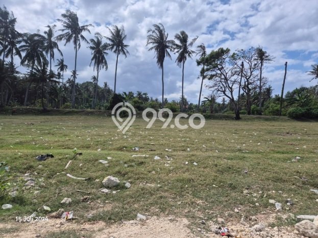 Untuk Dijual Tanah 4800m2 di Saba, Gianyar Untuk Dijual Tanah 4800m2 di Saba, Gianyar