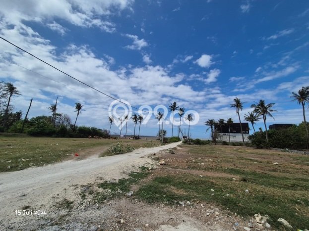 Untuk Dijual Tanah 4800m2 di Saba, Gianyar Untuk Dijual Tanah 4800m2 di Saba, Gianyar