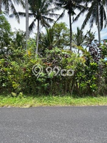 Tanah Dijual di Tabanan Seluas 1350m2 Strategis Tanah Dijual di Tabanan Seluas 1350m2 Strategis