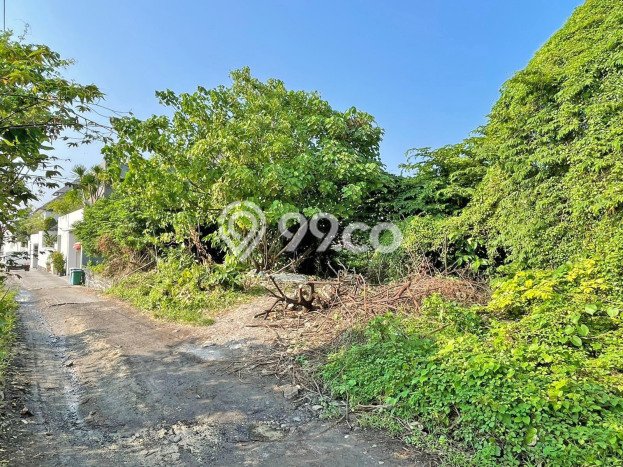 Kavling Tanah untuk Dijual di Canggu, Badung, Luas 450m2 Kavling Tanah untuk Dijual di Canggu, Badung, Luas 450m2