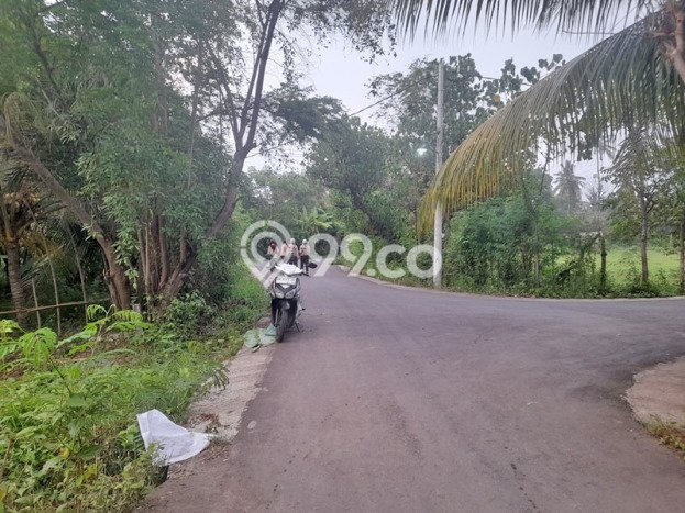 Kavling Tanah untuk Dijual di Sumberkimia, Buleleng, Luas 300m2 Kavling Tanah untuk Dijual di Sumberkimia, Buleleng, Luas 300m2