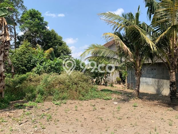 Tanah di Ngaglik, Luas 113m2m², Area Potensial Tanah di Ngaglik, Luas 113m2m², Area Potensial