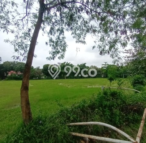 Tanah Kavling Dijual di Klender, Jakarta Timur dengan Luas Tanah 168m2 Tanah Kavling Dijual di Klender, Jakarta Timur dengan Luas Tanah 168m2