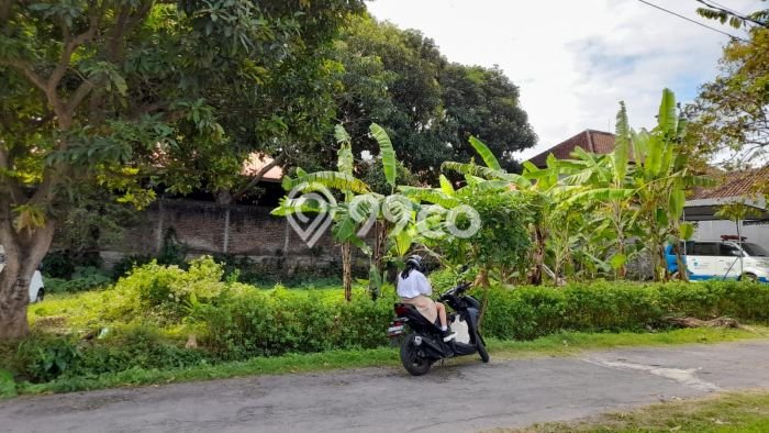 Tanah Premium di Denpasar Barat, Luas 300m2m², Dekat Denpasar Barat, Denpasar, Denpasar Tanah Premium di Denpasar Barat, Luas 300m2m², Dekat Denpasar Barat, Denpasar, Denpasar