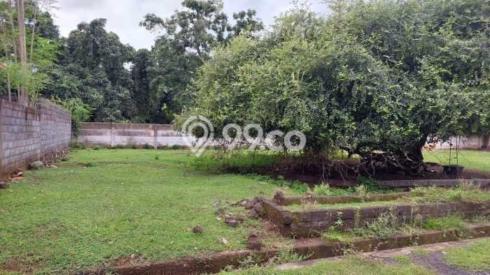 Dijual Tanah Lokasi Prima Kawasan Gerokgak, Luas 200m2m², Dekat Gerokgak, Buleleng, Buleleng Dijual Tanah Lokasi Prima Kawasan Gerokgak, Luas 200m2m², Dekat Gerokgak, Buleleng, Buleleng
