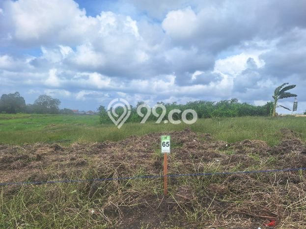 Kavling Tanah untuk Dijual di canggu, Badung, Luas 120m2 Kavling Tanah untuk Dijual di canggu, Badung, Luas 120m2