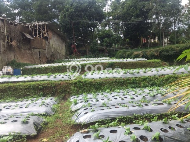 Dijual Hunian Mewah dengan Fasilitas Sekitar Komplit di Megamendung, Bogor Dijual Hunian Mewah dengan Fasilitas Sekitar Komplit di Megamendung, Bogor