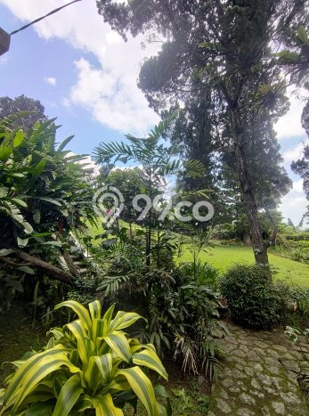 Vila Strategis Kawasan , Area 1680m2m², Dekat mudah Bogor, Bogor Vila Strategis Kawasan , Area 1680m2m², Dekat mudah Bogor, Bogor