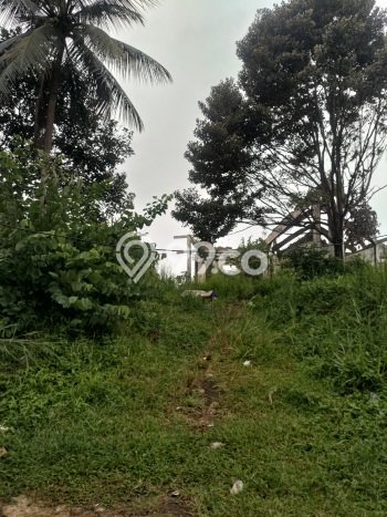Lahan Investasi Lokasi Bojong Gede Bogor SHM Lahan Investasi Lokasi Bojong Gede Bogor SHM