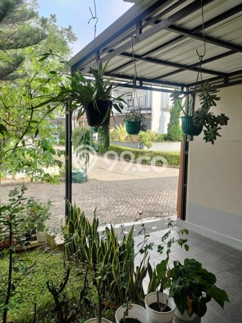 Dijual Rumah Eksklusif 3 KT di Pakuan, Bogor Dijual Rumah Eksklusif 3 KT di Pakuan, Bogor