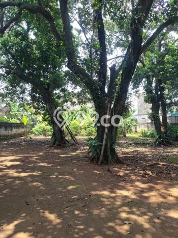 Rumah Modern Minimalis 3 KT Siap Huni di Cibinong Rumah Modern Minimalis 3 KT Siap Huni di Cibinong