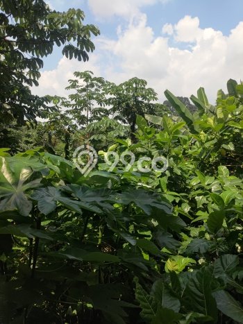 Tanah Dijual Area Strategis di Pajajaran Bogor 2700m2 Tanah Dijual Area Strategis di Pajajaran Bogor 2700m2