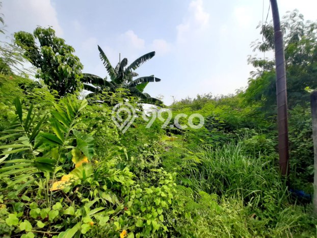 Tanah Kavling Dijual di Cipinang, Jakarta Timur dengan Luas Tanah 832m2 Tanah Kavling Dijual di Cipinang, Jakarta Timur dengan Luas Tanah 832m2