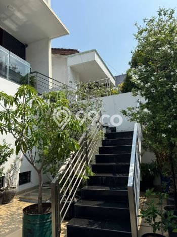 Rumah Luxury Modern Tanpa Renovasi di Pluit Jakarta Utara Rumah Luxury Modern Tanpa Renovasi di Pluit Jakarta Utara