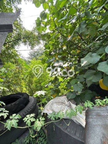 Tanah Lokasi Prima Kawasan , Luas 1694m2m², Kawasan Asri, Akses Surabaya, Surabaya Tanah Lokasi Prima Kawasan , Luas 1694m2m², Kawasan Asri, Akses Surabaya, Surabaya