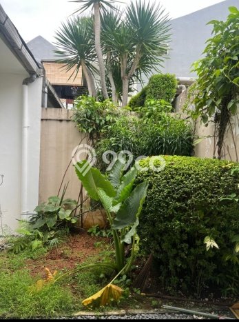 Rumah Luxury Modern Siap Huni di BSD Tangerang Rumah Luxury Modern Siap Huni di BSD Tangerang