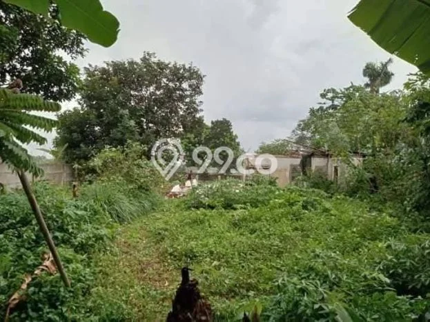 Tanah Dijual Lokasi Senen, Jakarta Pusat dengan Luas Tanah 197m2 dan Status - Tanah Dijual Lokasi Senen, Jakarta Pusat dengan Luas Tanah 197m2 dan Status -