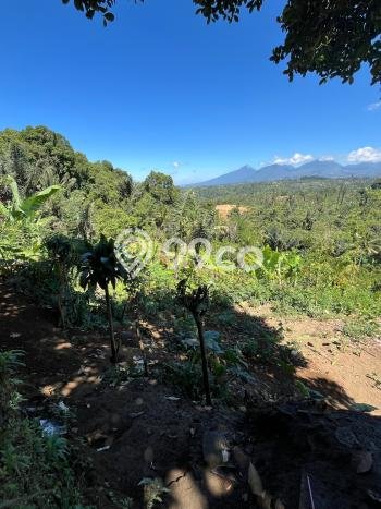 Lahan Investasi Lokasi Payangan Gianyar SHM Lahan Investasi Lokasi Payangan Gianyar SHM