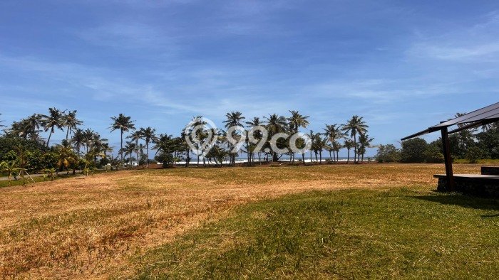 Lahan Kosong Dijual di Tabanan dengan Area 500m2 Lahan Kosong Dijual di Tabanan dengan Area 500m2