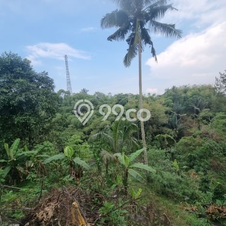 Dijual Tanah di Sukabumi, Luas 6610m2 SHM Dijual Tanah di Sukabumi, Luas 6610m2 SHM