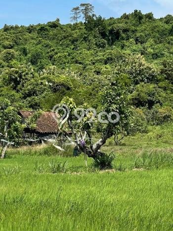 Dijual Tanah Lokasi Gresik Kota, Gresik Seluas 4940m2 Dijual Tanah Lokasi Gresik Kota, Gresik Seluas 4940m2