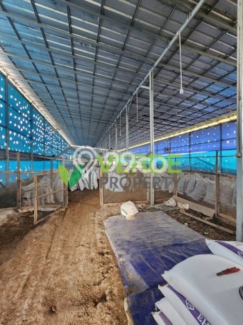 Tanah untuk Dijual Lokasi Rumpin, Bogor Luas 1371m2 - Tanah untuk Dijual Lokasi Rumpin, Bogor Luas 1371m2 -