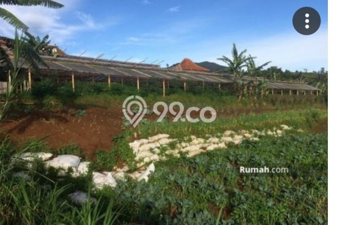 Tanah Kawasan Cipanas, Luas 5000m², Akses Jalan Raya, Area Prospektif Tanah Kawasan Cipanas, Luas 5000m², Akses Jalan Raya, Area Prospektif