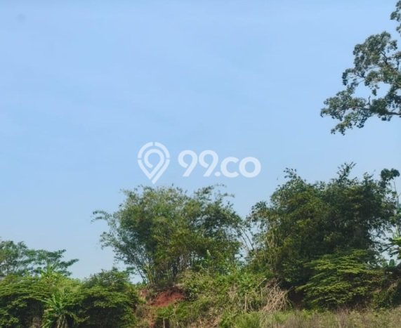 Tanah Disewakan di Ngaliyan, Semarang, Luas 1263m2 - Tanah Disewakan di Ngaliyan, Semarang, Luas 1263m2 -