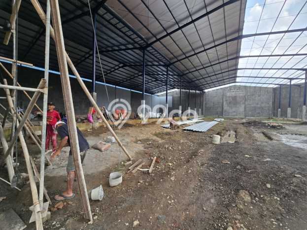 Gudang Disewakan Lokasi Ngaliyan Semarang Harga Spesial! Gudang Disewakan Lokasi Ngaliyan Semarang Harga Spesial!