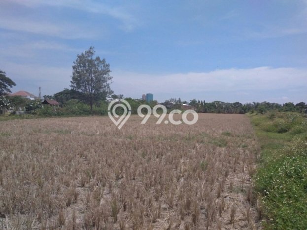 Ruko Dijual di Kawasan Grogol, Sukoharjo Harga Kompetitif Ruko Dijual di Kawasan Grogol, Sukoharjo Harga Kompetitif