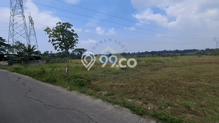 Jarang Ada! Tanah di Jayanti Punya Luas 2950m2 SHM Jarang Ada! Tanah di Jayanti Punya Luas 2950m2 SHM