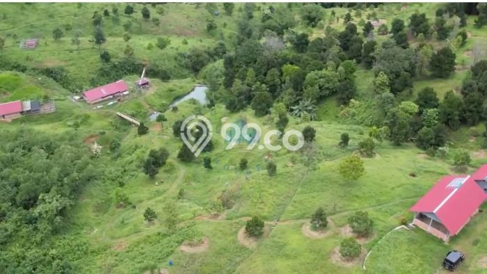Tanah Kavling untuk Dijual di Jasinga Bogor 128000m2 Tanah Kavling untuk Dijual di Jasinga Bogor 128000m2