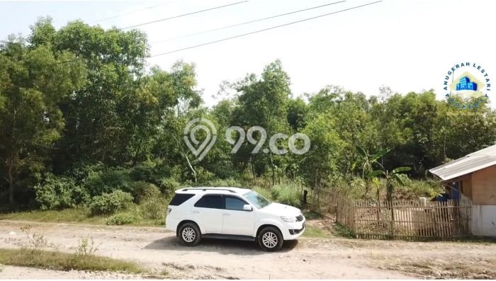 Tanah untuk Dijual di Rangkasbitung Lebak Luas 3000m2 Tanah untuk Dijual di Rangkasbitung Lebak Luas 3000m2