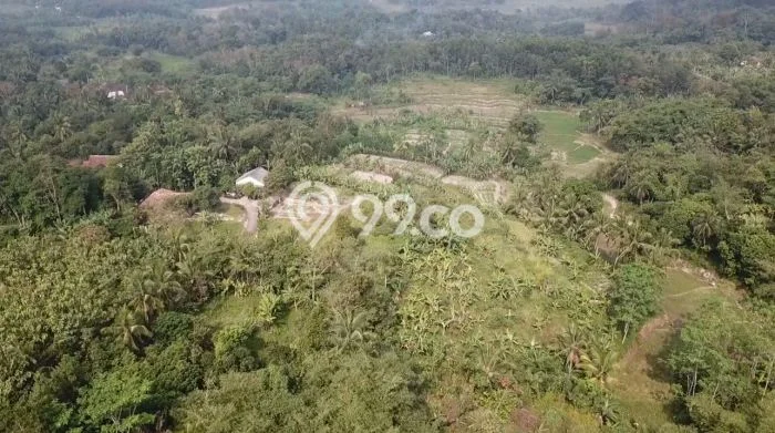 Kavling Tanah di Rangkasbitung Dijual Luas 6500m2 Legalitas SHM Kavling Tanah di Rangkasbitung Dijual Luas 6500m2 Legalitas SHM