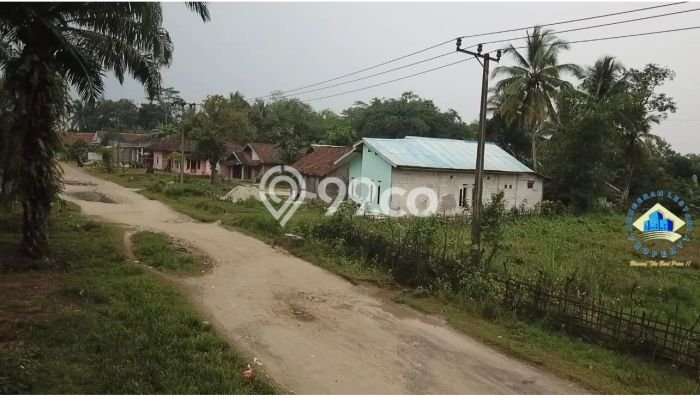 Tanah Dijual Lokasi Rangkasbitung, Lebak Luas 32000m2 Legalitas Aman Tanah Dijual Lokasi Rangkasbitung, Lebak Luas 32000m2 Legalitas Aman