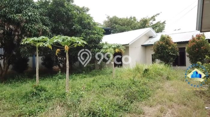 Gudang Dijual Lokasi Stratagis di Kramatwatu Serang Cocok untuk Investasi Gudang Dijual Lokasi Stratagis di Kramatwatu Serang Cocok untuk Investasi