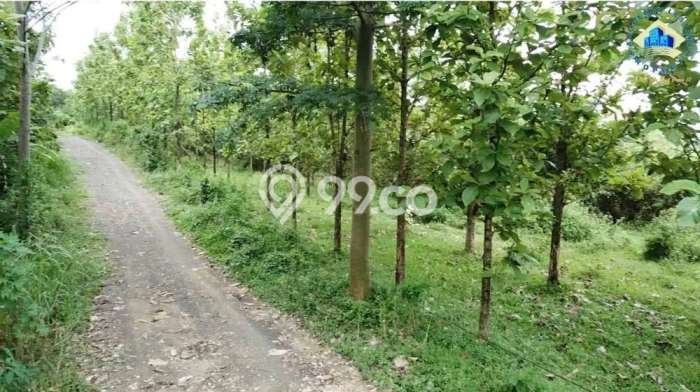 Kavling Tanah Dijual di Rangkasbitung Lebak Spesifikasi 42000m2 Kavling Tanah Dijual di Rangkasbitung Lebak Spesifikasi 42000m2
