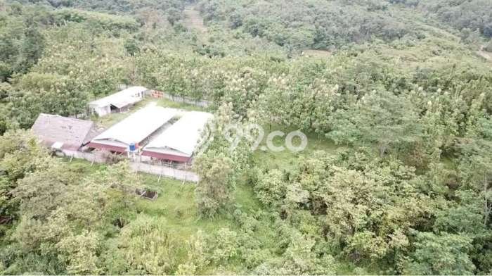Kavling Tanah Dijual di Rangkasbitung Lebak Spesifikasi 42000m2 Kavling Tanah Dijual di Rangkasbitung Lebak Spesifikasi 42000m2