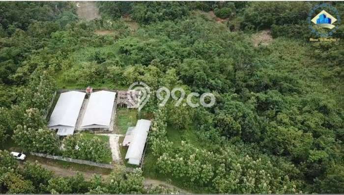 Kavling Tanah Dijual di Rangkasbitung Lebak Spesifikasi 42000m2 Kavling Tanah Dijual di Rangkasbitung Lebak Spesifikasi 42000m2