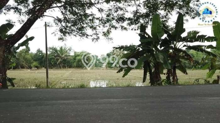 Tanah Dijual Lokasi Rangkasbitung, Lebak Luas 5000m2 Legalitas Aman Tanah Dijual Lokasi Rangkasbitung, Lebak Luas 5000m2 Legalitas Aman