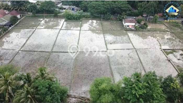 Tanah Dijual Lokasi Rangkasbitung, Lebak Luas 5000m2 Legalitas Aman Tanah Dijual Lokasi Rangkasbitung, Lebak Luas 5000m2 Legalitas Aman