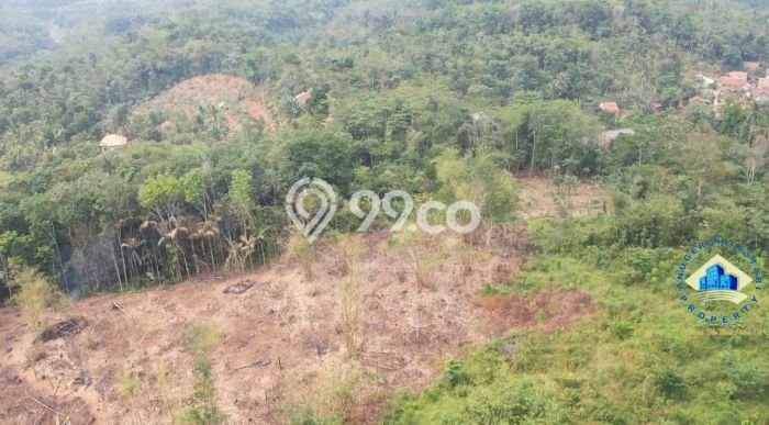 Lahan untuk Dijual Lokasi Rangkasbitung, Lebak Luas 100000m2 - Lahan untuk Dijual Lokasi Rangkasbitung, Lebak Luas 100000m2 -