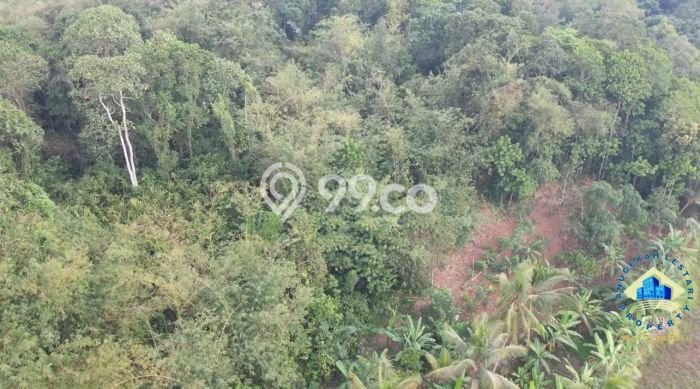 Tanah untuk Dijual di Rangkasbitung Lebak Luas 200000m2 Tanah untuk Dijual di Rangkasbitung Lebak Luas 200000m2