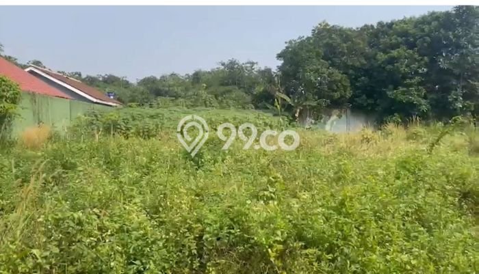 Lahan untuk Dijual Lokasi Cisauk, Tangerang Luas 2126m2 SHM Lahan untuk Dijual Lokasi Cisauk, Tangerang Luas 2126m2 SHM