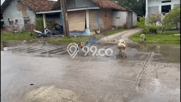 Disewakan Gudang di Legok Tangerang LT 900m2, LB 500m2 Disewakan Gudang di Legok Tangerang LT 900m2, LB 500m2