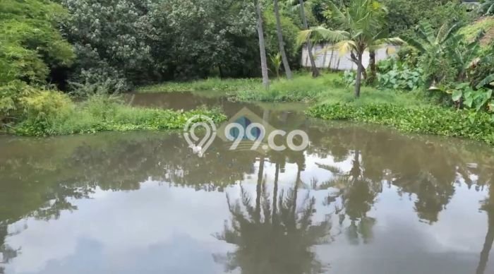Lahan untuk Dijual Lokasi Cikande, Serang Luas 7000m2 - Lahan untuk Dijual Lokasi Cikande, Serang Luas 7000m2 -