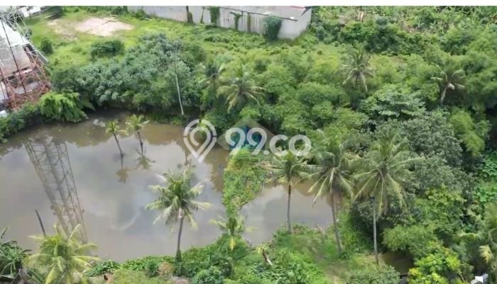Lahan untuk Dijual Lokasi Cikande, Serang Luas 7000m2 - Lahan untuk Dijual Lokasi Cikande, Serang Luas 7000m2 -