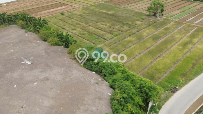 Untuk Dijual Tanah di Sepatan Tangerang Luas 4180m2 - Untuk Dijual Tanah di Sepatan Tangerang Luas 4180m2 -
