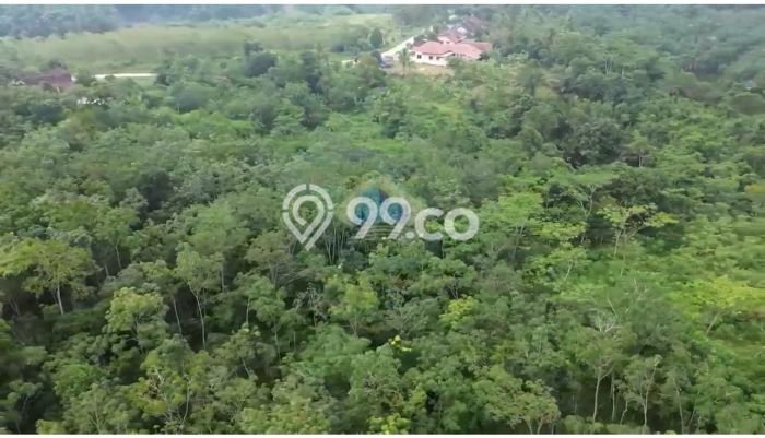 Jarang Ada! Tanah di Cileles Punya Luas 150000m2 SHM Jarang Ada! Tanah di Cileles Punya Luas 150000m2 SHM